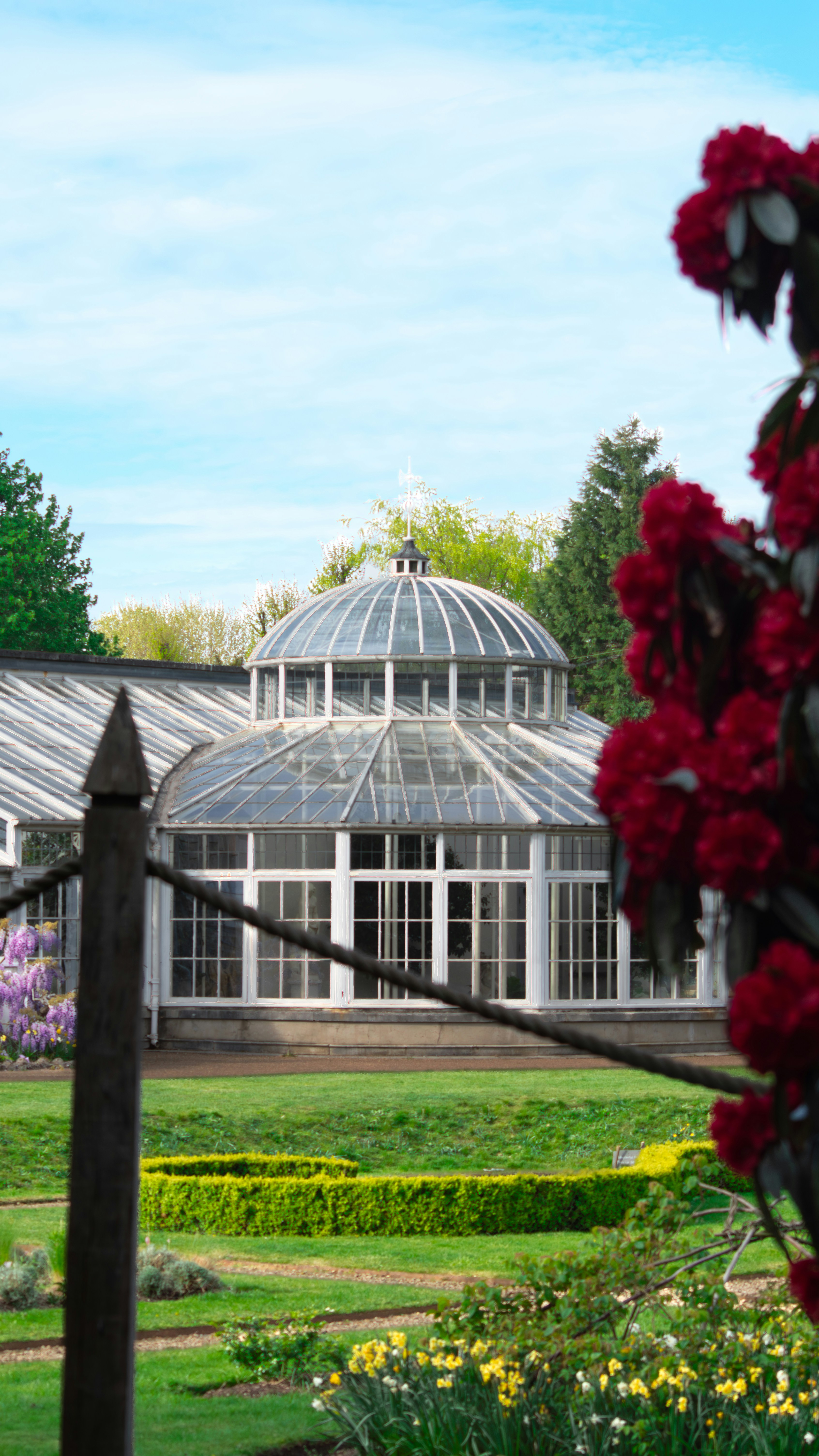 A beautiful Victorian-style glasshouse surrounded by manicured gardens and blooming flowers, bathed in soft natural light on a spring day.